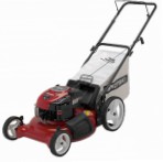 Buy lawn mower CRAFTSMAN 38843 online