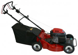 Buy self-propelled lawn mower MA.RI.NA Systems GX 4 Maxi 52 online, Photo and Characteristics