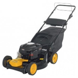 Buy self-propelled lawn mower PARTNER 5551 CMDE online, Photo and Characteristics