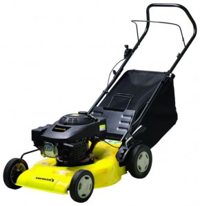Buy lawn mower Champion GM5129 online, Photo and Characteristics