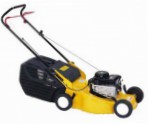 Buy self-propelled lawn mower Dynamac DS 48 TB petrol online