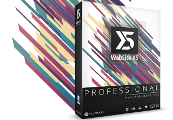 WebSite X5 Professional CD Key [USD 192.43]