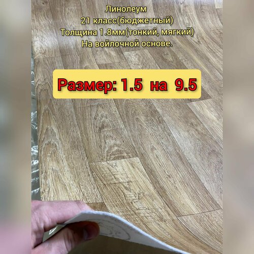 Линолеум 1.5 на 9.5 Лорд -2 (тонкий, бюджетный) на войлочной основе фото