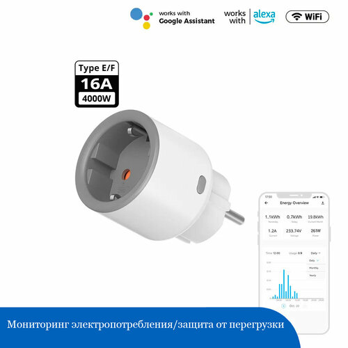 Розетка Sonoff S60TPF WiFi 16A фото