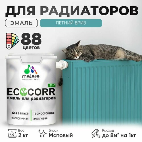 Эмаль Malare EcoCorr для труб и радиаторов отопления, для батарей отопления, быстросохнущая, без запаха, матовая, летний бриз, 2 кг фото