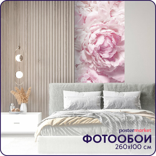 Фотообои виниловые Postermarket Розовые пионы 100х260 см фото