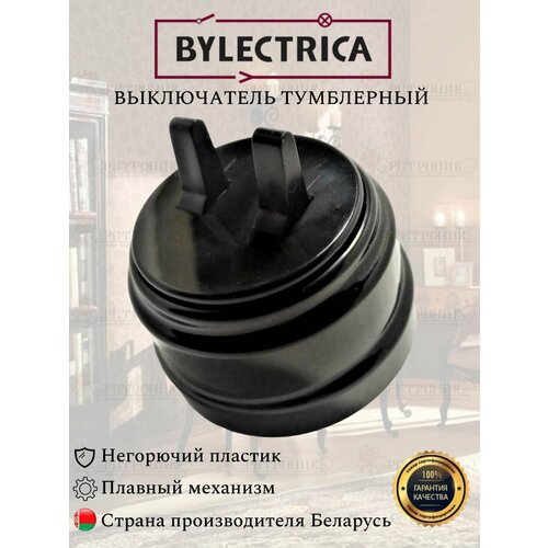 Винтажный ретро выключатель А510-2204 черный Bylectrica двухклавишный 10А, тумблерный фото