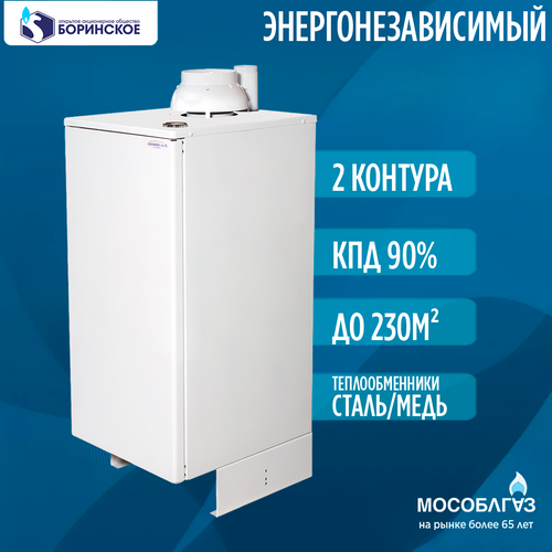 Конвекционный газовый котел Боринское АКГВ-23,2 Eurosit, 23.2 кВт, двухконтурный, белый фото