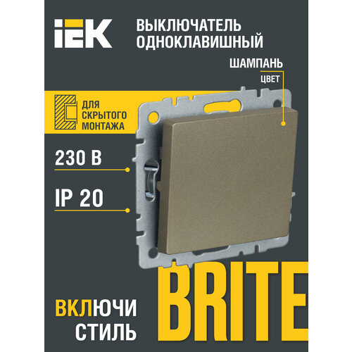 Выключатель IEK BR-V10-0-10 BRITE, 10 А, с защитной шторкой фото