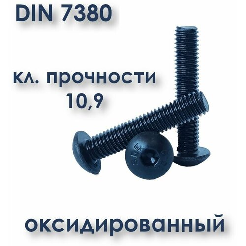 Винт М6х25 с полукруглой головкой, ISO 7380 / ГОСТ 28963-91, под шестигранник, оксид, 20 шт. фото