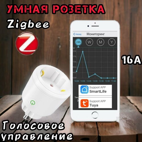 Умная розетка ZigBee с голосовым управлением 16А Tuya/SmartLife фото