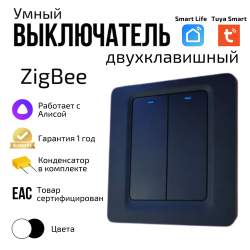 Умный выключатель Tuya ZigBee, две клавиши, в умный дом, Алисой фото