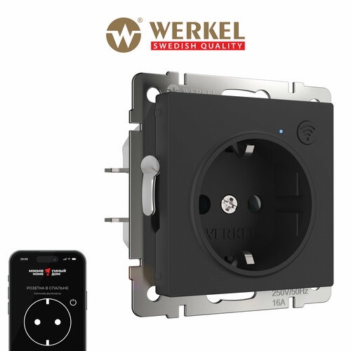 Умная розетка встраиваемая с заземлением Werkel W1171608 черный матовый Wi-Fi IP20 фото