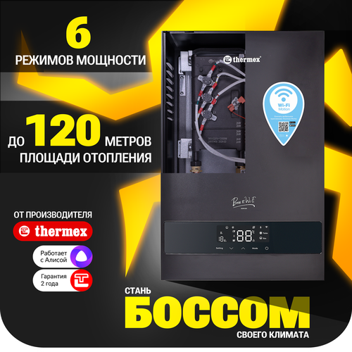 Электрический настенный котел THERMEX Boss 12 Wi-Fi (Black) фото