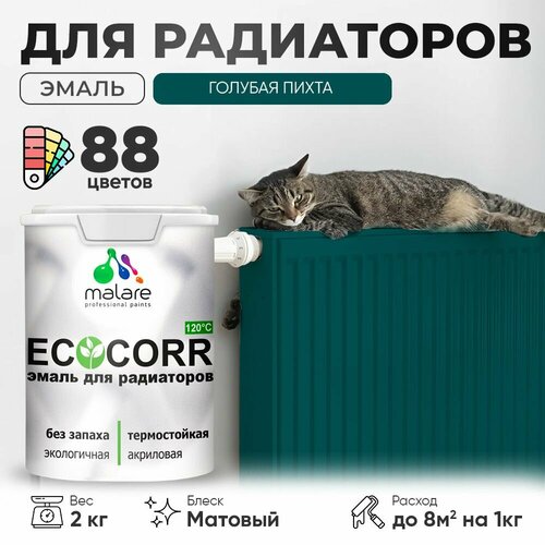 Эмаль Malare EcoCorr для труб и радиаторов отопления, для батарей отопления, быстросохнущая, без запаха, матовая, голубая пихта, 2 кг. фото