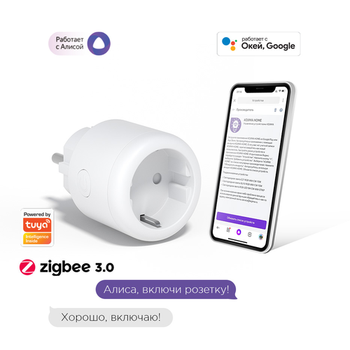 Умная розетка с ZigBee, мониторинг потребления, Яндекс Алисой, Google Home, Smart Power Plug 16A фото