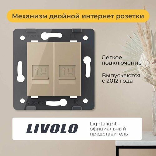 Механизм двойной интернет RJ-45 розетки Livolo (C7-2C-13) фото