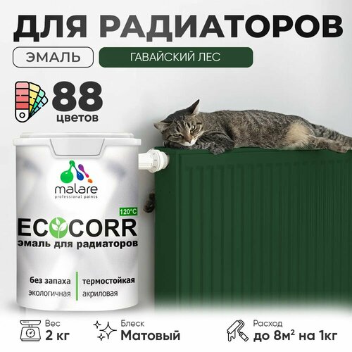 Эмаль Malare EcoCorr для труб и радиаторов отопления, для батарей отопления, быстросохнущая, без запаха, матовая, гавайский лес, 2 кг. фото