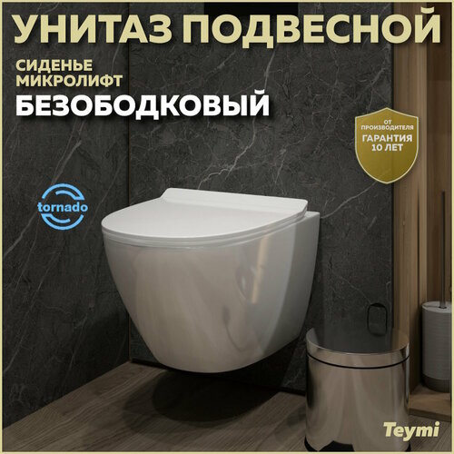 Унитаз подвесной Teymi Lina Pro Vortex безободковый, сиденье микролифт T40112 фото