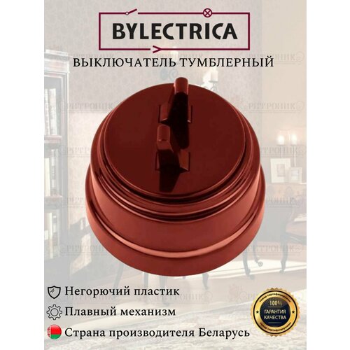 Винтажный ретро выключатель А510-2204 коричневый Bylectrica двухклавишный 10А, тумблерный фото