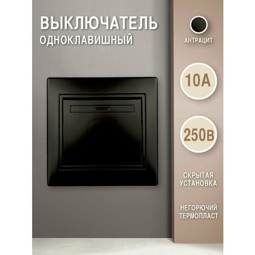 Выключатель одноклавишный,10А-250В, IP20, СУ, антрацит фото