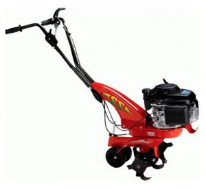 Buy cultivator Eurosystems Z 2 B&S 450 Series online, Photo and Characteristics