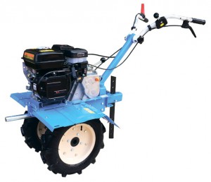 Comprar apeado tractor Workmaster МБ-2 conectados, foto e características