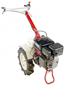 Købe walk-hjulet traktor ЗиД Фаворит (Vanguard) online, Foto og Egenskaber