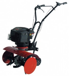 Buy cultivator SunGarden T 250 B 6.5 online, Photo and Characteristics