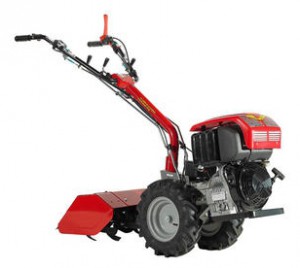 Købe walk-hjulet traktor Meccanica Benassi MF 223 (15LD350) online, Foto og Egenskaber