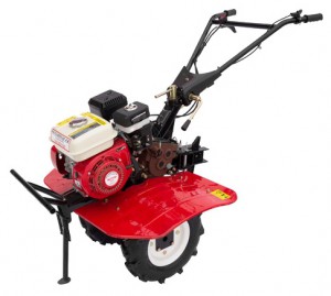 Købe walk-hjulet traktor Bertoni 900 online, Foto og Egenskaber