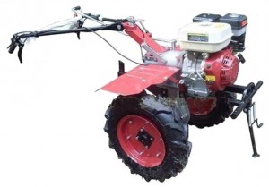 Acheter tracteur à chenilles Shtenli 1100 (пахарь) 8 л.с. en ligne, Photo et les caractéristiques