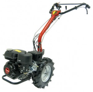 Ostaa aisaohjatut traktori SunGarden MF 360 R verkossa, kuva ja ominaisuudet