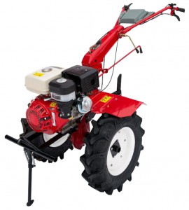 Kjøpe walk-bak traktoren Bertoni 16D på nett, Bilde og kjennetegn