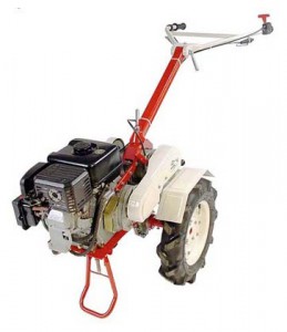 Købe walk-hjulet traktor ЗиД Фаворит (Honda GX-160) online, Foto og Egenskaber