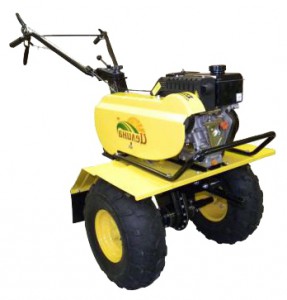 Comprar apeado tractor Целина МБ-604 conectados, foto e características