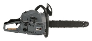 Cheannach ﻿chainsaw chonaic Powertec PT2452 líne, Photo agus tréithe