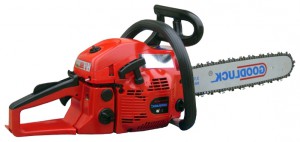 Buy ﻿chainsaw GOODLUCK GL5200E online, Photo and Characteristics