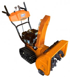 Buy snowblower Daewoo Power Products DAST 1570 online, Photo and Characteristics