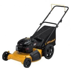 Buy lawn mower Poulan Pro PR550N21RH online, Photo and Characteristics