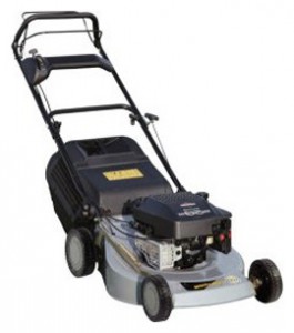 Buy self-propelled lawn mower Texas Evolution 51TR Combi online, Photo and Characteristics