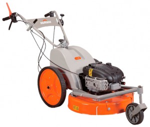 Buy self-propelled lawn mower DORMAK RM 62 BS online, Photo and Characteristics