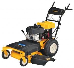 Buy self-propelled lawn mower Cub Cadet Wide Cut E-Start online, Photo and Characteristics