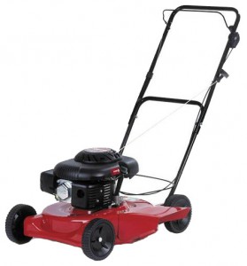 Satın almak çim biçme makinesi MTD 51 SDC çevrimiçi, fotoğraf ve özellikleri