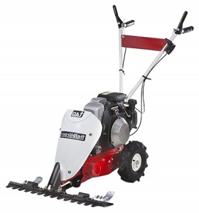 Buy hay mower Tielbuerger T40 Honda online, Photo and Characteristics