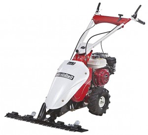 Buy hay mower Tielbuerger T50 Honda online, Photo and Characteristics