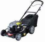 Buy self-propelled lawn mower Profi PBM51SWBS rear-wheel drive petrol online
