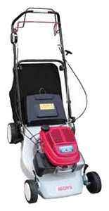 Satın almak kendinden hareketli çim biçme makinesi RYOBI RBLM 55 SG/SP çevrimiçi, fotoğraf ve özellikleri