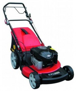 Buy self-propelled lawn mower DDE WYZ22H online, Photo and Characteristics