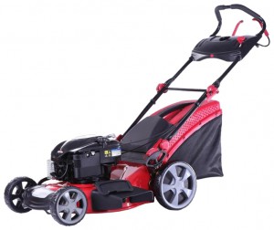 Buy self-propelled lawn mower DDE WYZ20H2-13 online, Photo and Characteristics
